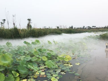 邯鄲洺湖濕地公園項目
